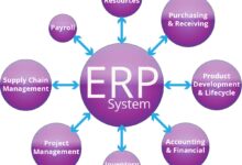 erp implementation cost