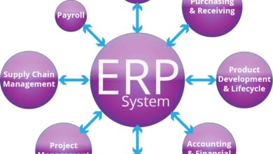 erp implementation cost