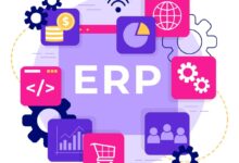 erp project management
